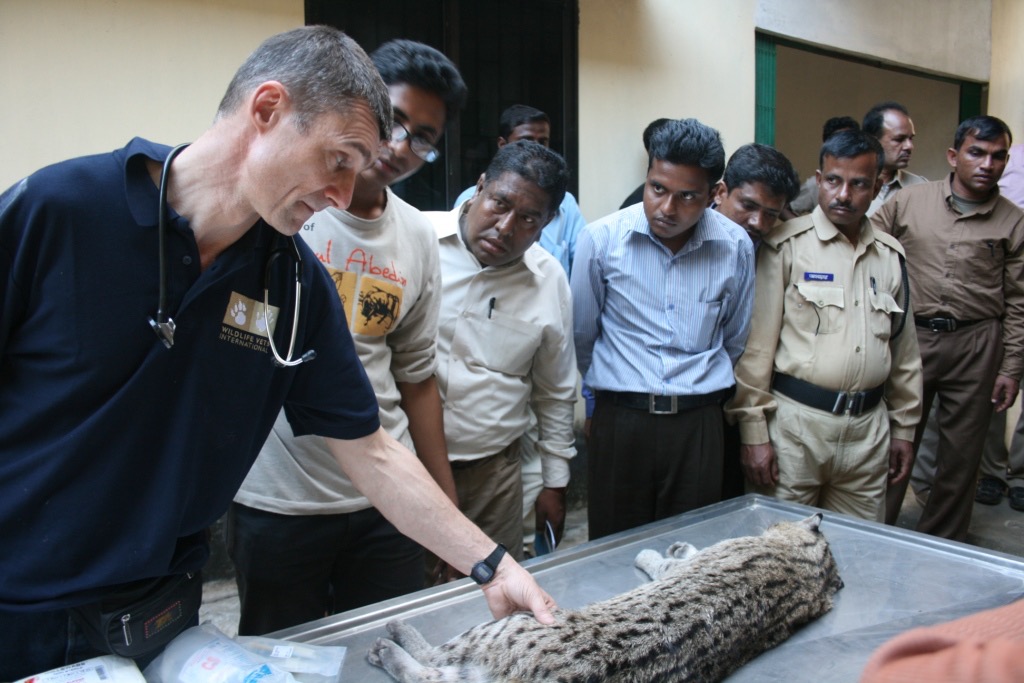 8. Practical anaesthesia sessions 3 compressed (1)