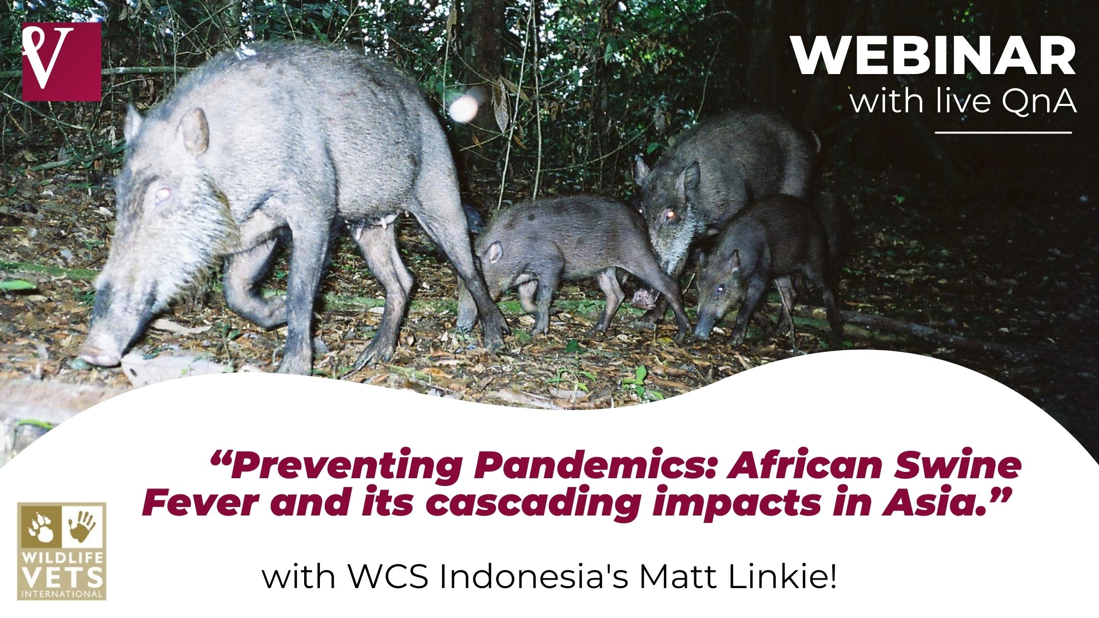 WVI Preventing Pandemics (1)