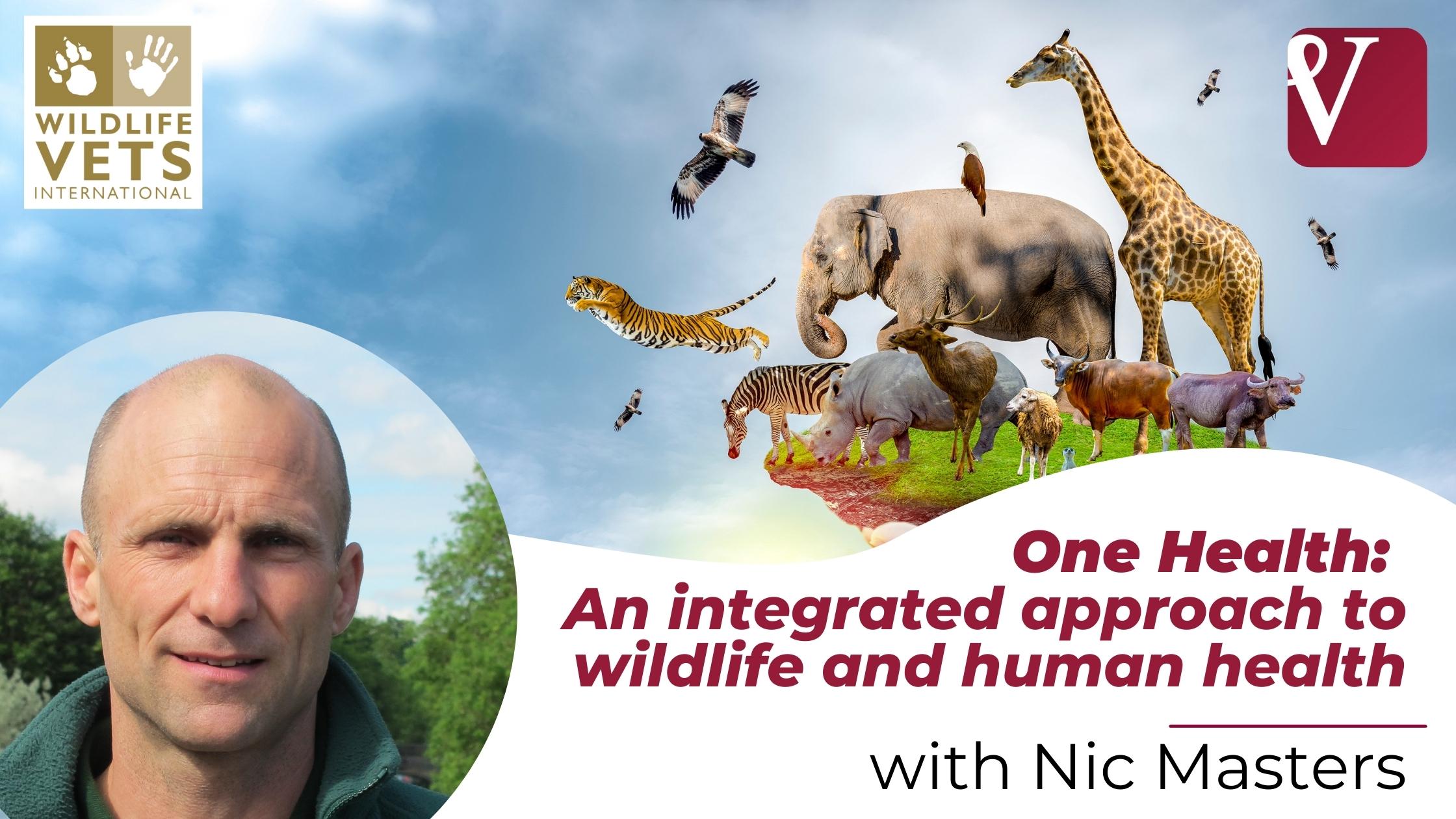 Webinar Thumbnails (1)